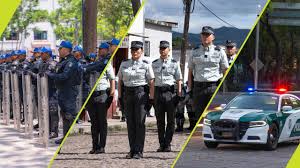 EL NUEVO RUMBO EN SEGURIDAD PÚBLICA PODRÁ MEJORAR EL DESARROLLO DE MÉXICO, SI SE CONSTRUYE CON BASE EN LA PAZ Y JUSTICIA.